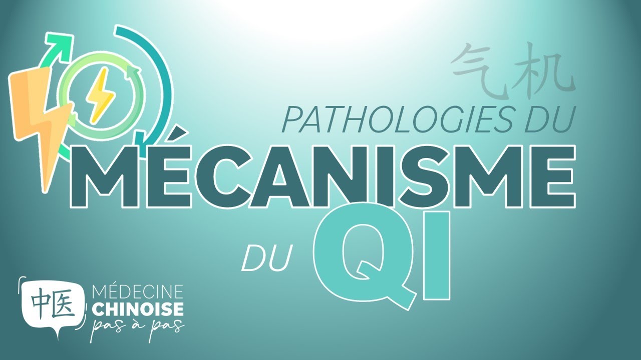 #36 - Les Mécanismes PATHOLOGIQUES du QI - Médecine Traditionnelle Chinoise