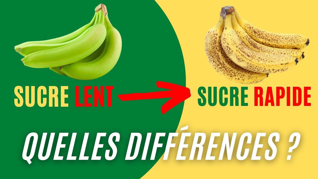Sucre lent et sucre rapide : c’est quoi ?