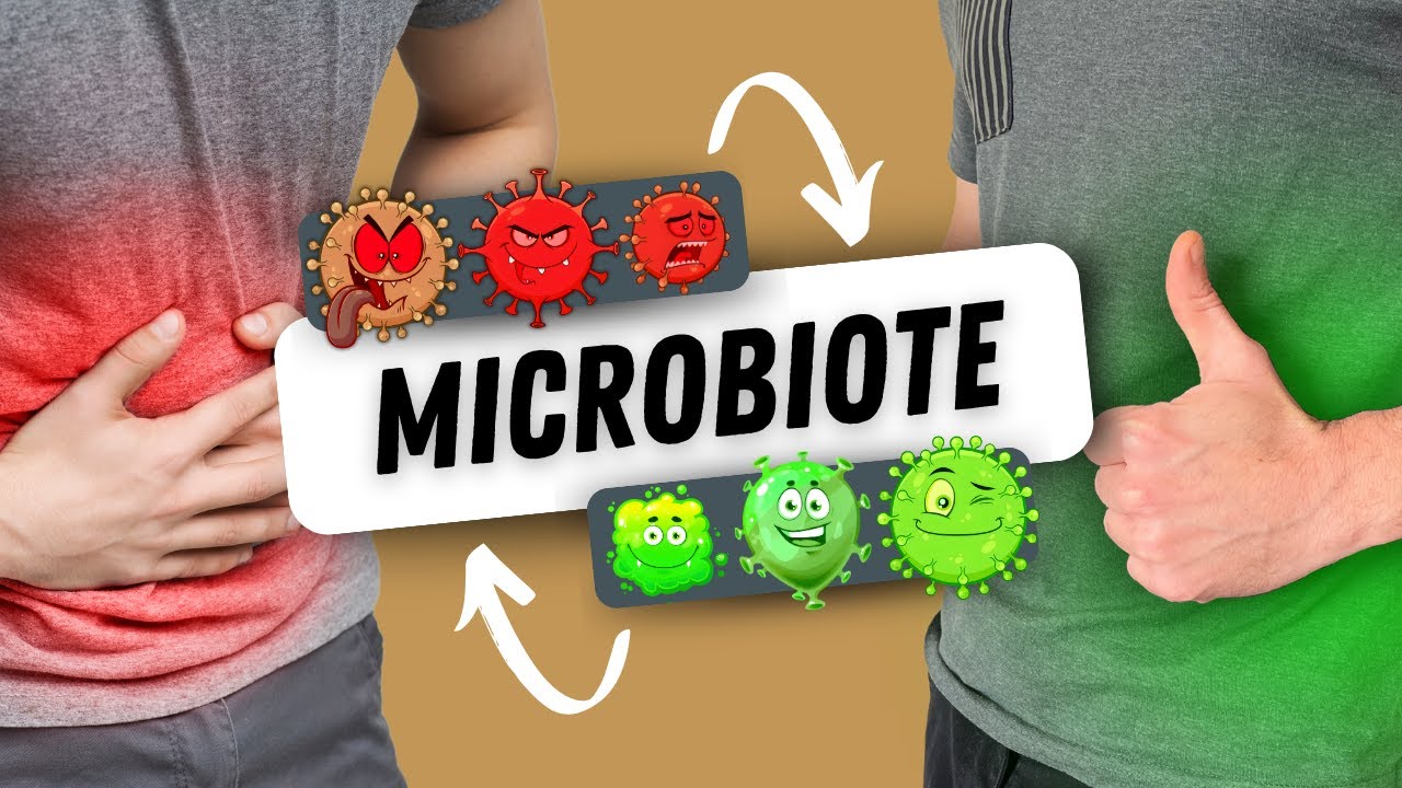 Microbiote intestinal : comment le réparer naturellement 🦠