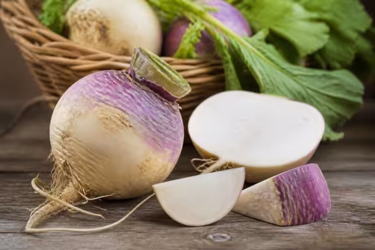 Le navet : tout savoir sur ce légume racine oublié